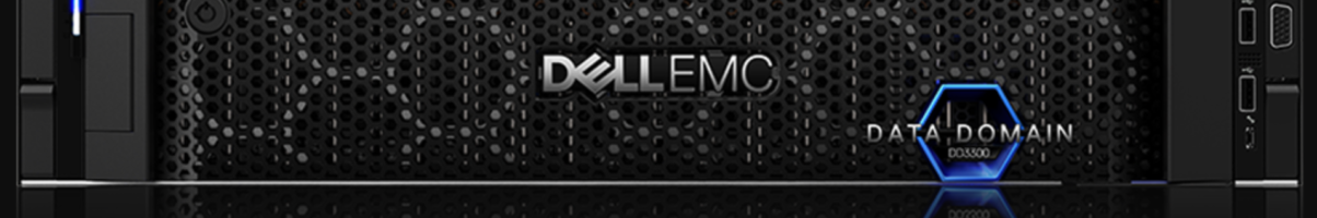 data domain s3