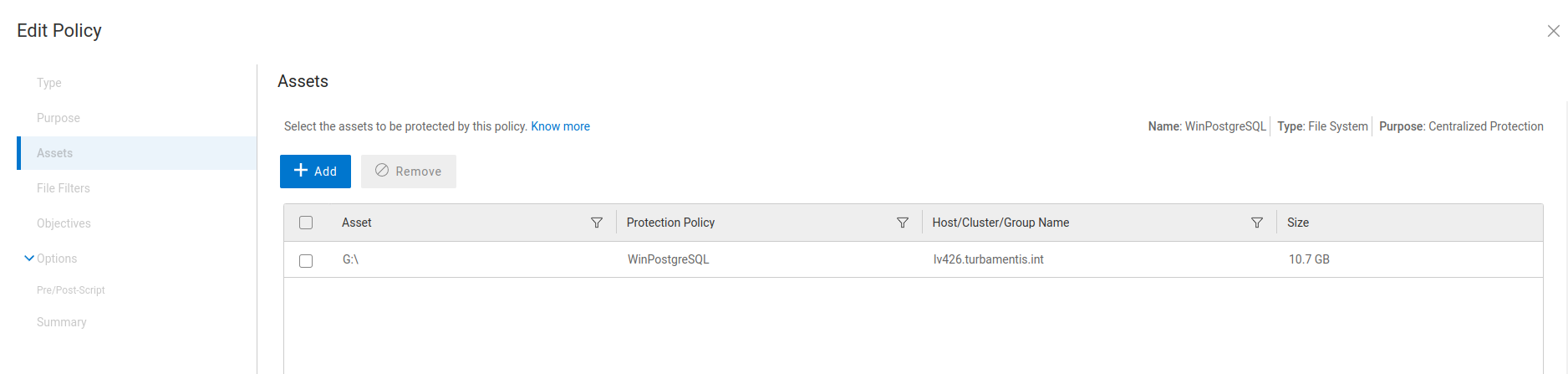 Data Manager Asset Selection showing a single selected asset, G:\